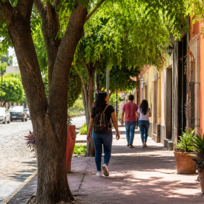 Calle urbana con árboles maduros que proyectan sombra sobre peatones, vehículos y una banqueta de concreto.