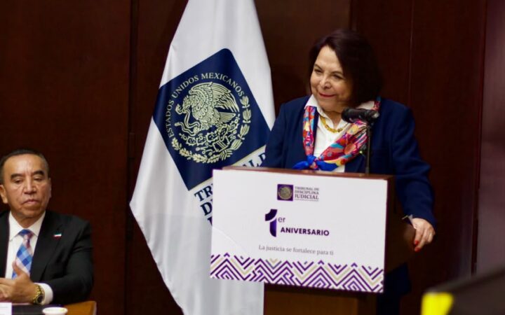 Celia Maya García durante su intervención en el primer aniversario del Tribunal de Disciplina Judicial